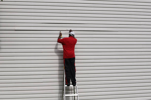 Historical Building Siding Restoration in Lemay, MO